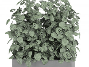 monstera in a pot for the interior 776 3Dモデル
