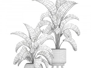 banana palm in a rattan basket 777 3Dモデル