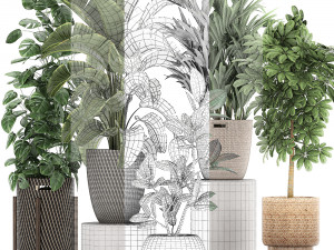 ornamental plants in a rattan basket 778 3D Model