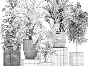 ornamental plants in a rattan basket 778 3D Model