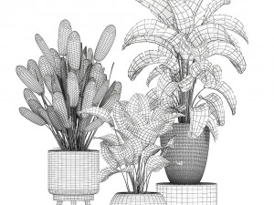 ornamental plants in a rattan basket 779 3D Model