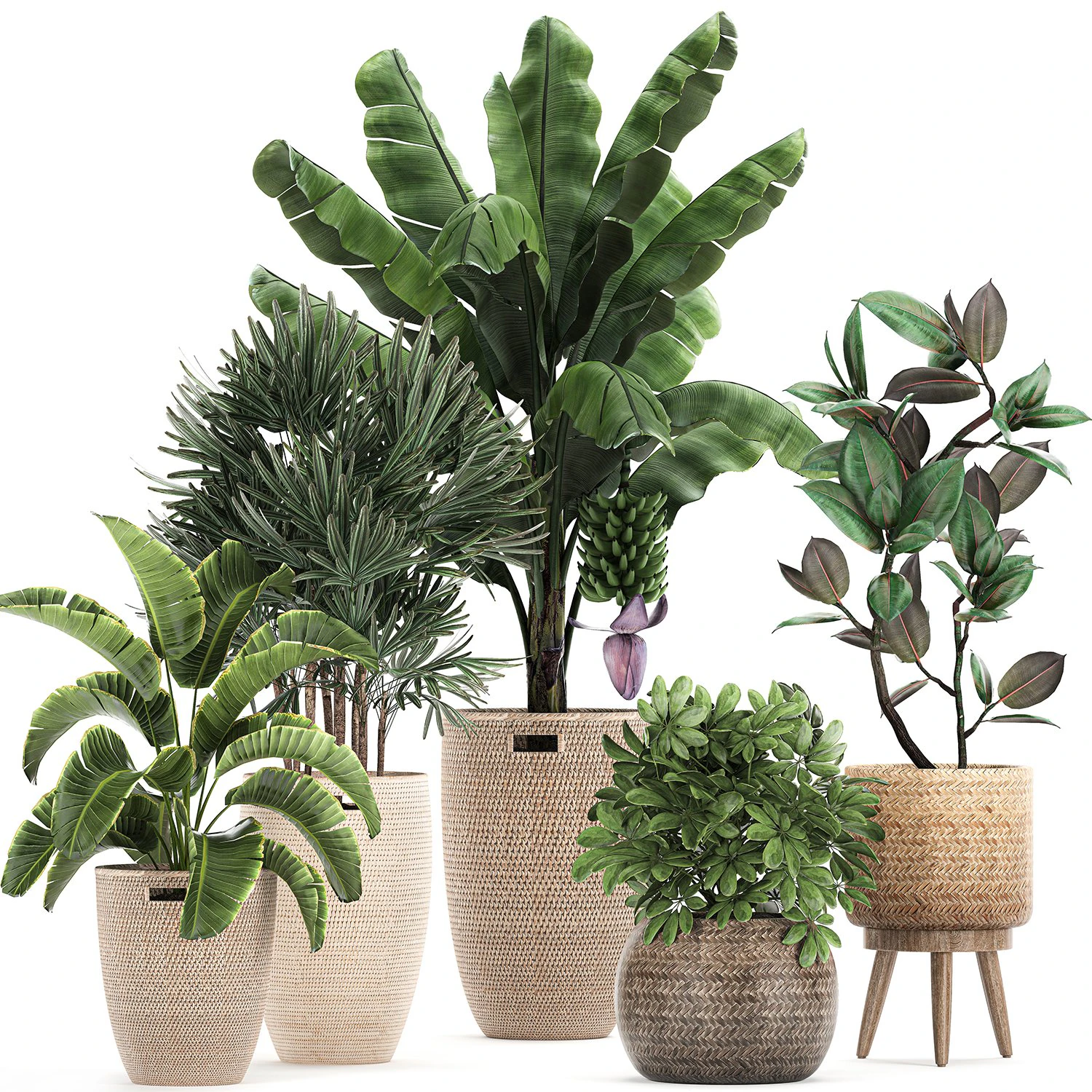 ornamental plants in a rattan basket 780 3D Model .c4d .max .obj .3ds .fbx .stl .blend 