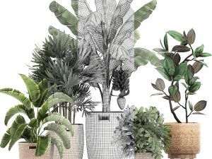 ornamental plants in a rattan basket 780 3D Model