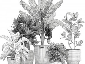 ornamental plants in a rattan basket 780 3Dモデル