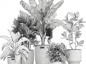 ornamental plants in a rattan basket 780 3D Model