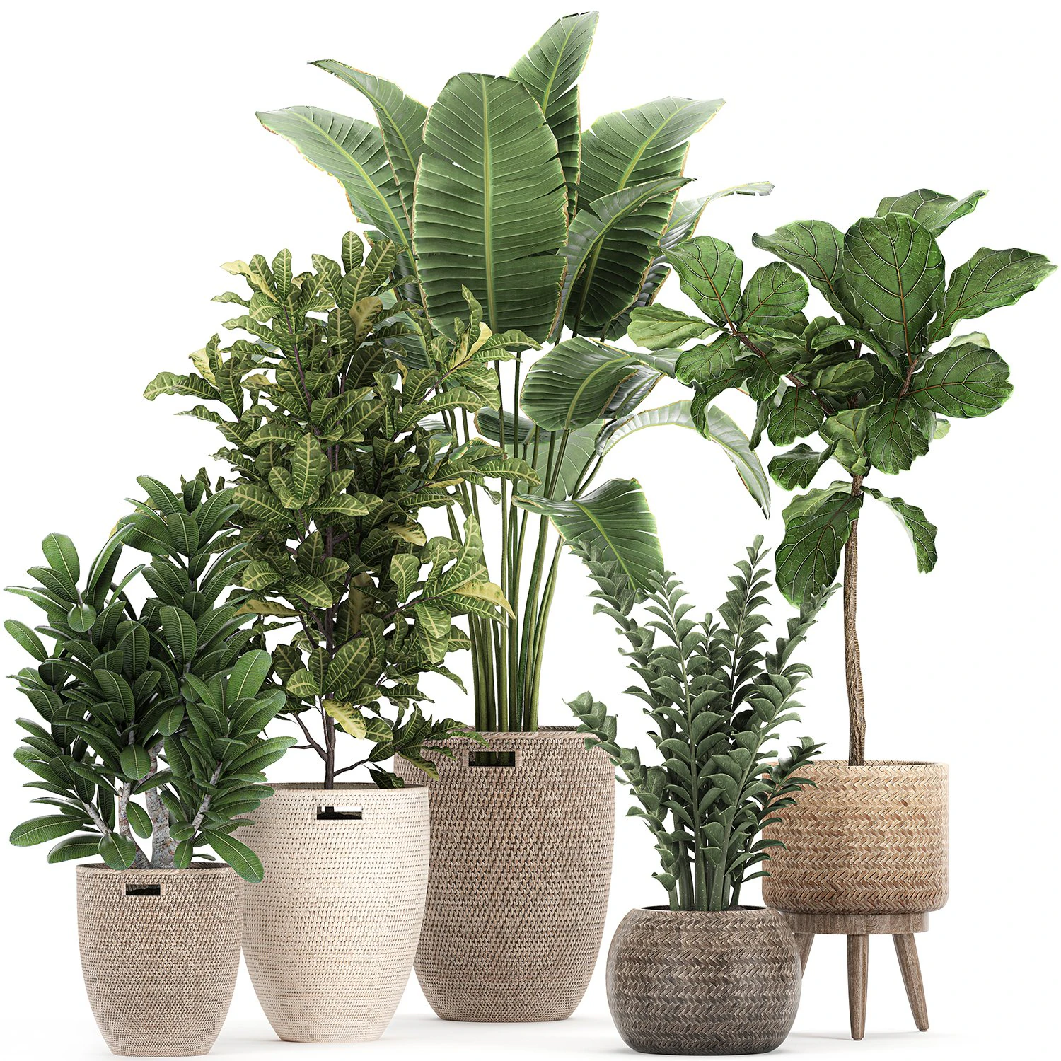 ornamental plants in a rattan baskets 781 3D Model .c4d .max .obj .3ds .fbx .stl .blend 