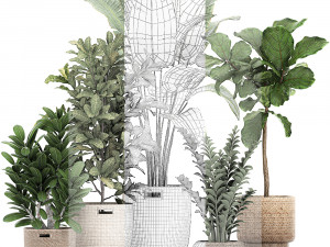 ornamental plants in a rattan baskets 781 3D Model