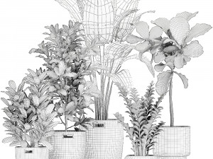 ornamental plants in a rattan baskets 781 3D Model