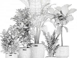 ornamental plants in a rattan baskets 781 3D Model