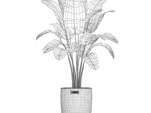 banana palm in a rattan basket 782 Modèle 3D