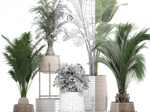 ornamental plants in a rattan baskets 783 3D Model