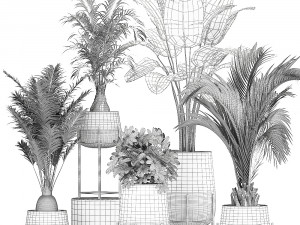 ornamental plants in a rattan baskets 783 3D Model