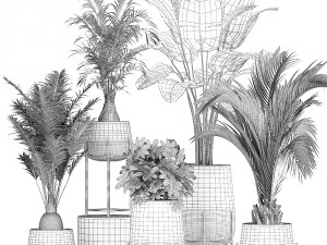 ornamental plants in a rattan baskets 783 3D Model