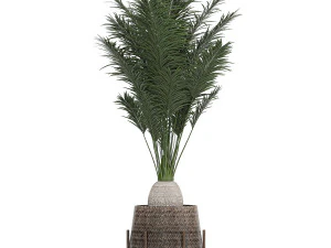 ornamental plants in a rattan baskets 783 3D Model