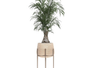 ornamental plants in a rattan baskets 783 3D Model