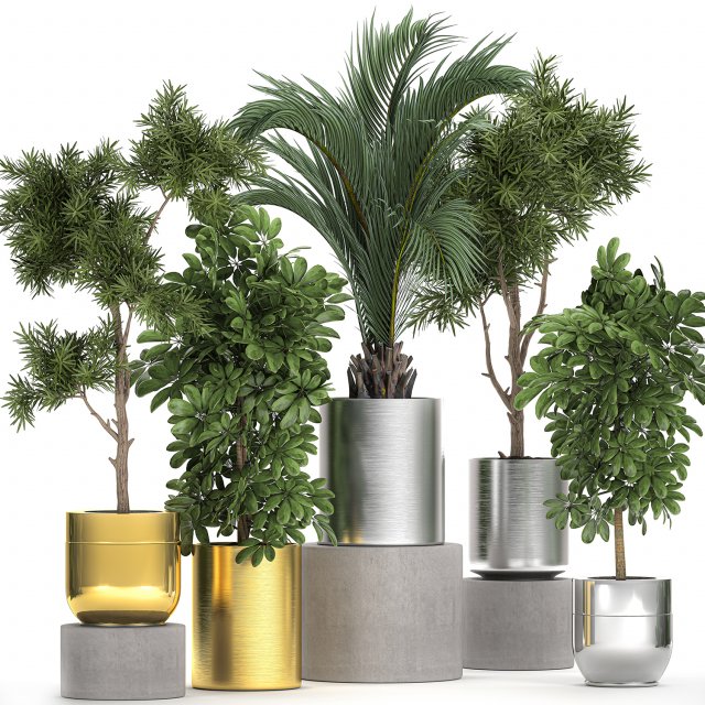 ornamental plants in a chrome flowerpot 784 Modelo 3D .c4d .max .obj .3ds .fbx .stl .blend 