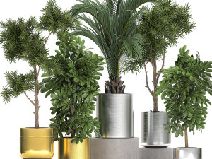 ornamental plants in a chrome flowerpot 784 3D Model