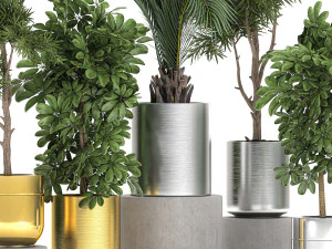 ornamental plants in a chrome flowerpot 784 3D Model