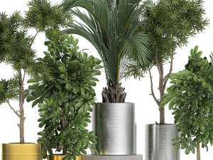 ornamental plants in a chrome flowerpot 784 Modelo 3D