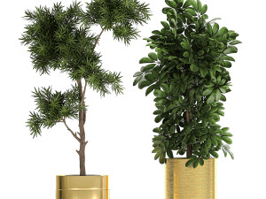 ornamental plants in a chrome flowerpot 784 Modelo 3D