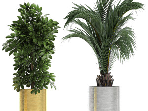ornamental plants in a chrome flowerpot 784 Modelo 3D