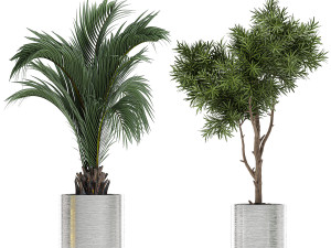 ornamental plants in a chrome flowerpot 784 Modelo 3D