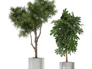 ornamental plants in a chrome flowerpot 784 3D Model
