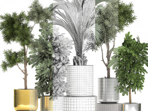 ornamental plants in a chrome flowerpot 784 Modelo 3D
