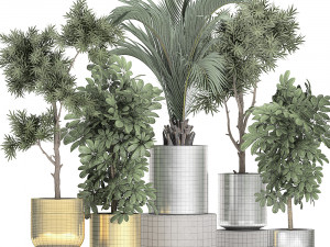 ornamental plants in a chrome flowerpot 784 Modelo 3D
