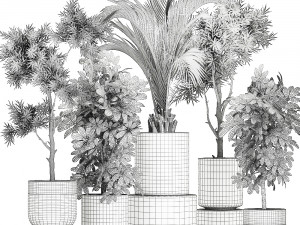 ornamental plants in a chrome flowerpot 784 Modelo 3D