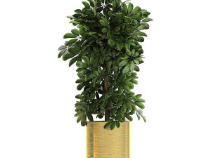 ornamental plants in a chrome flowerpot 784 Modelo 3D