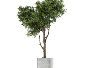 ornamental plants in a chrome flowerpot 784 Modelo 3D
