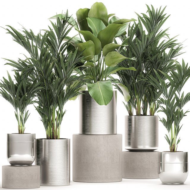 ornamental plants in a chrome flowerpot 785 3D Модель .c4d .max .obj .3ds .fbx .stl .blend 