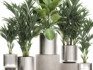 ornamental plants in a chrome flowerpot 785 Modelo 3D