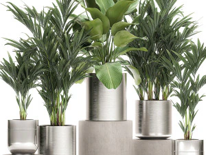 tanaman hias dalam pot bunga chrome 785 Model 3D