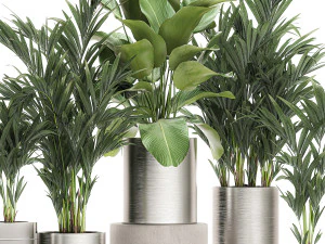 ornamental plants in a chrome flowerpot 785 3D Model