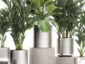ornamental plants in a chrome flowerpot 785 3D Model