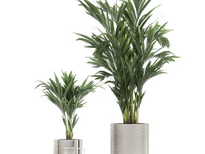 ornamental plants in a chrome flowerpot 785 3D Model