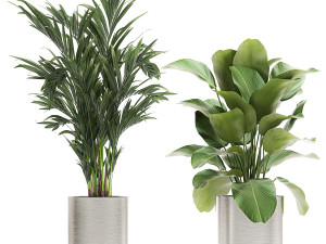 ornamental plants in a chrome flowerpot 785 3D Модель