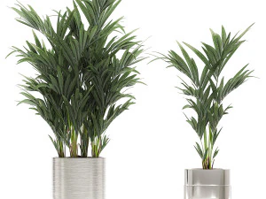 ornamental plants in a chrome flowerpot 785 3D Model