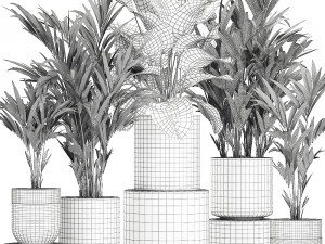 ornamental plants in a chrome flowerpot 785 3D Модель