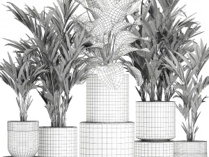 ornamental plants in a chrome flowerpot 785 3D Model
