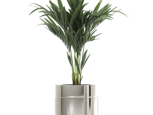 ornamental plants in a chrome flowerpot 785 3D Model