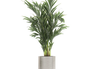 ornamental plants in a chrome flowerpot 785 3D Модель