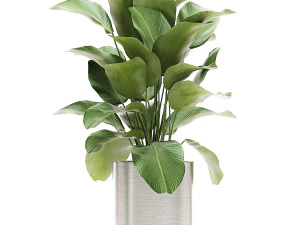 ornamental plants in a chrome flowerpot 785 3D Model