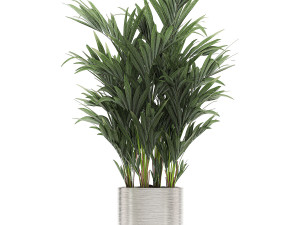ornamental plants in a chrome flowerpot 785 3D Модель