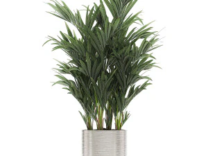 ornamental plants in a chrome flowerpot 785 3D Model