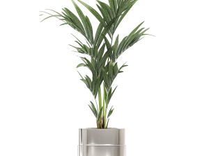 ornamental plants in a chrome flowerpot 785 3D Модель