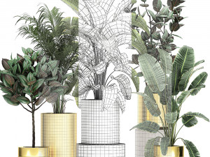 ornamental plants in a gold flowerpot 786 Model 3D