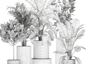 ornamental plants in a gold flowerpot 786 Model 3D